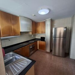 Twin Heights (D12), Apartment #498213921